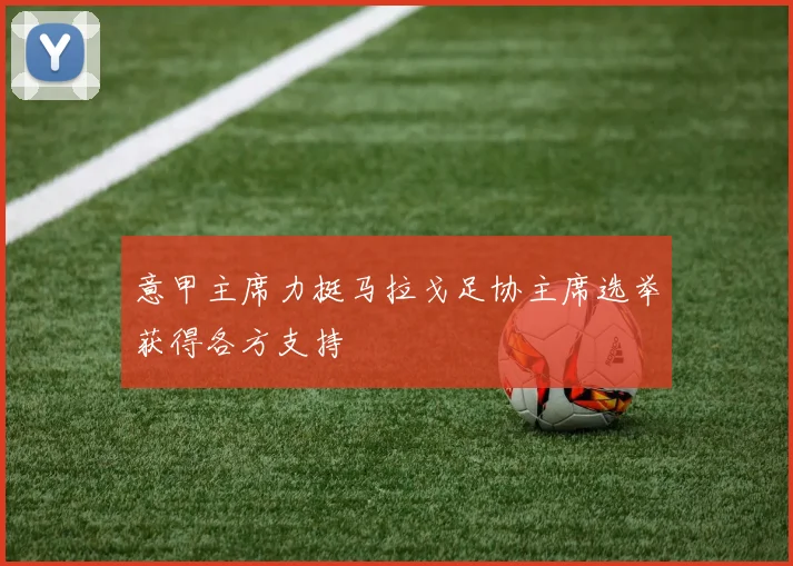 意甲主席力挺马拉戈足协主席选举获得各方支持